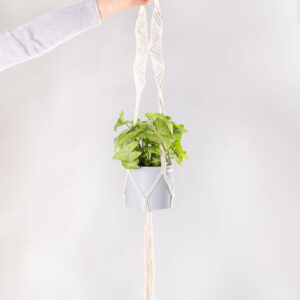 Mini Selva Urbana: Fitônias em Vasos Suspensos de Macramê - ideia