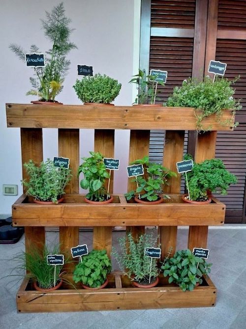Horta Vertical em Pallets: Sustentabilidade e Estilo Rústico - detalhe