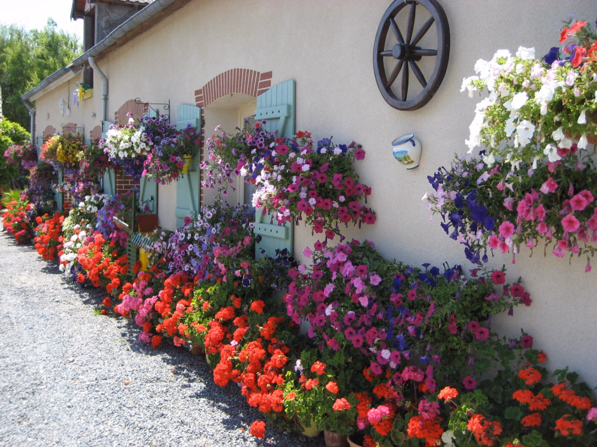 Cascata de Cores: Ixora em Jardins Verticais - detalhe