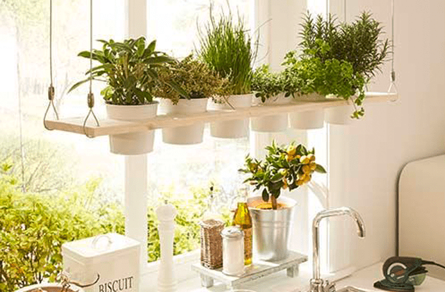 Cantinho de Temperos Vertical com Vasinhos - detalhe