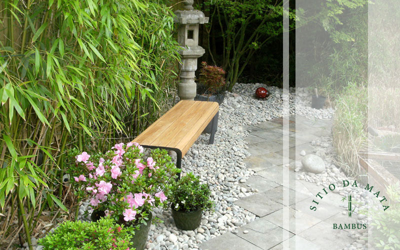 Jardins Verticais com Bambu: Uma Parede Viva Cheia de Charme - ideia