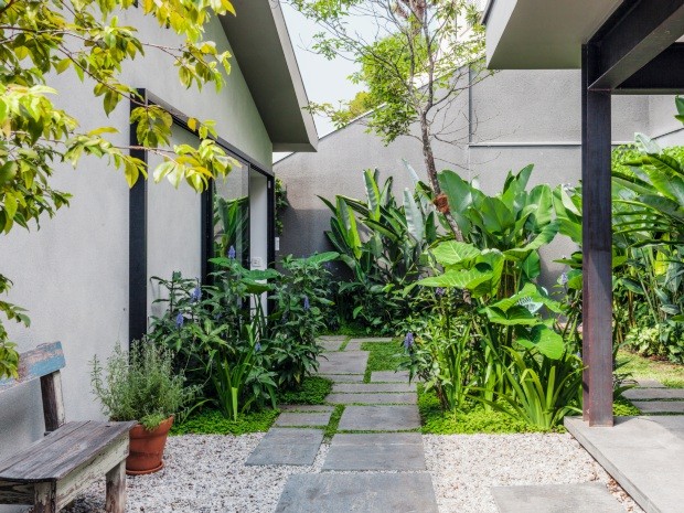 Jardim Vertical com Pedras Ornamentais: Uma Parede Cheia de Charme e Vida - inspiração