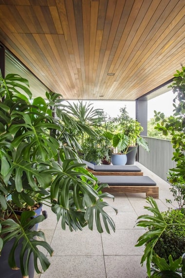 Mini Selva Urbana: Agrupamento De Plantas No Canto Da Sala - detalhe