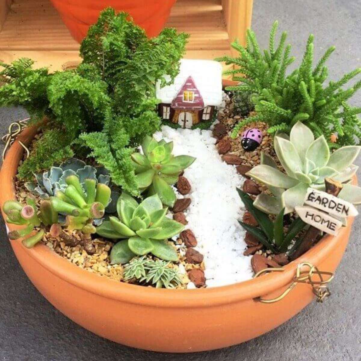 Mini Jardim em Terrários: Detalhes Encantadores - inspiração