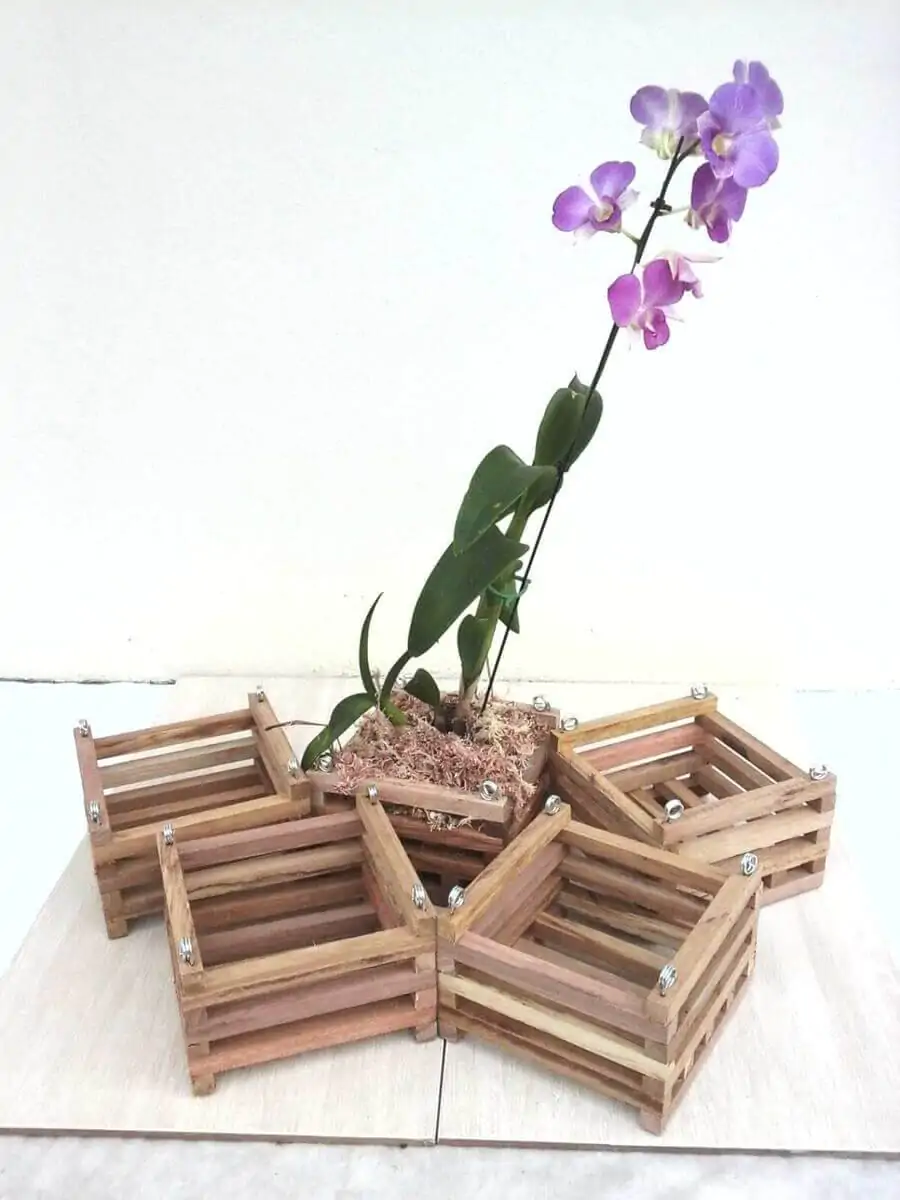 Orquídeas em Cachepots de Madeira Rústica: Conexão com a Natureza - detalhe