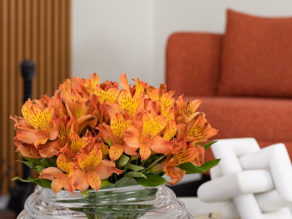 Cachepots Decorados com Decoupage: Personalização Total - inspiração