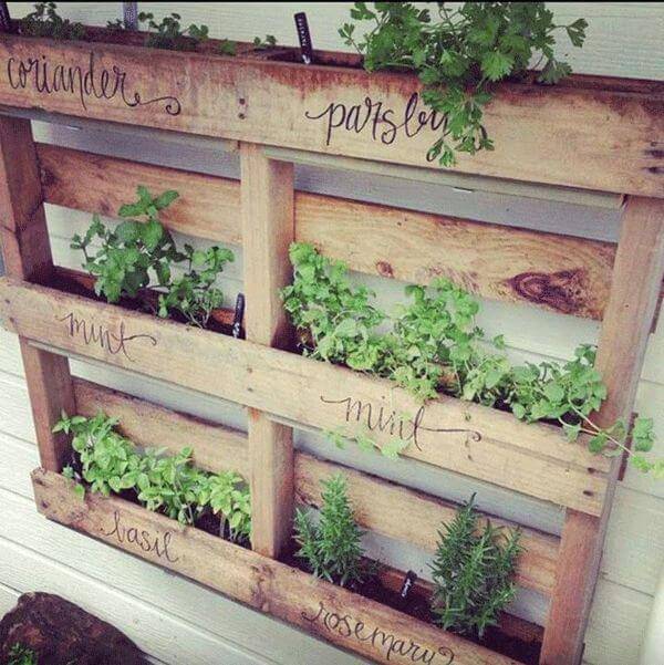 Mini Horta na Varanda com Pallets Reciclados: Sustentabilidade com Estilo - detalhe