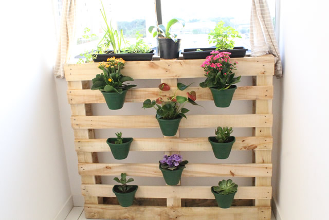 Jardim Vertical com Pallets: Rusticidade e Aproveitamento de Espaço - detalhe