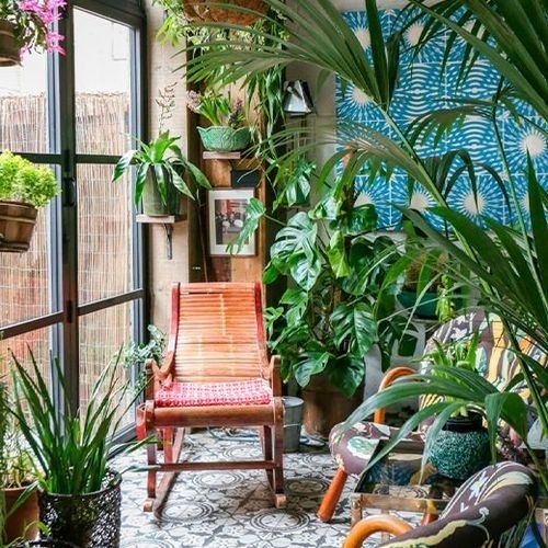 Um Toque Tropical: Jardim de Inverno com Orquídeas e Bromélias - detalhe