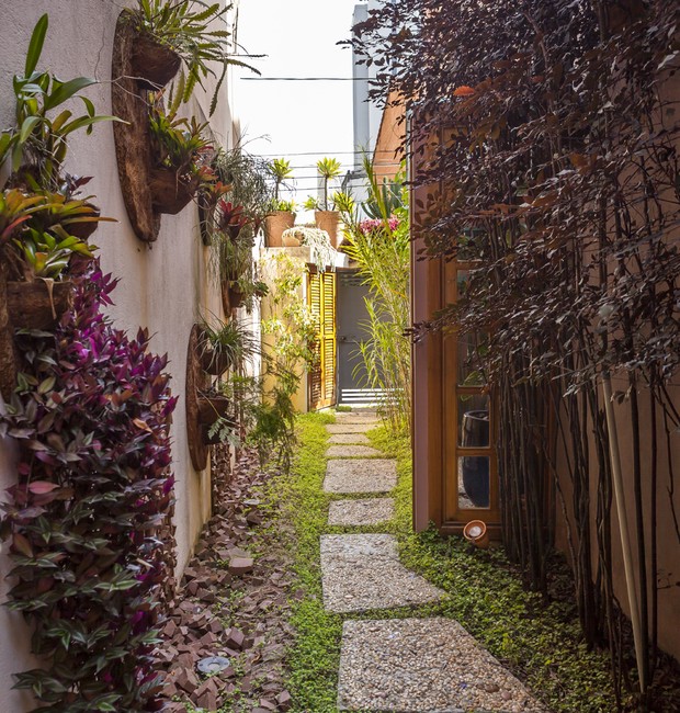 Jardim Vertical com Pedras Ornamentais: Uma Parede Cheia de Charme e Vida - detalhe