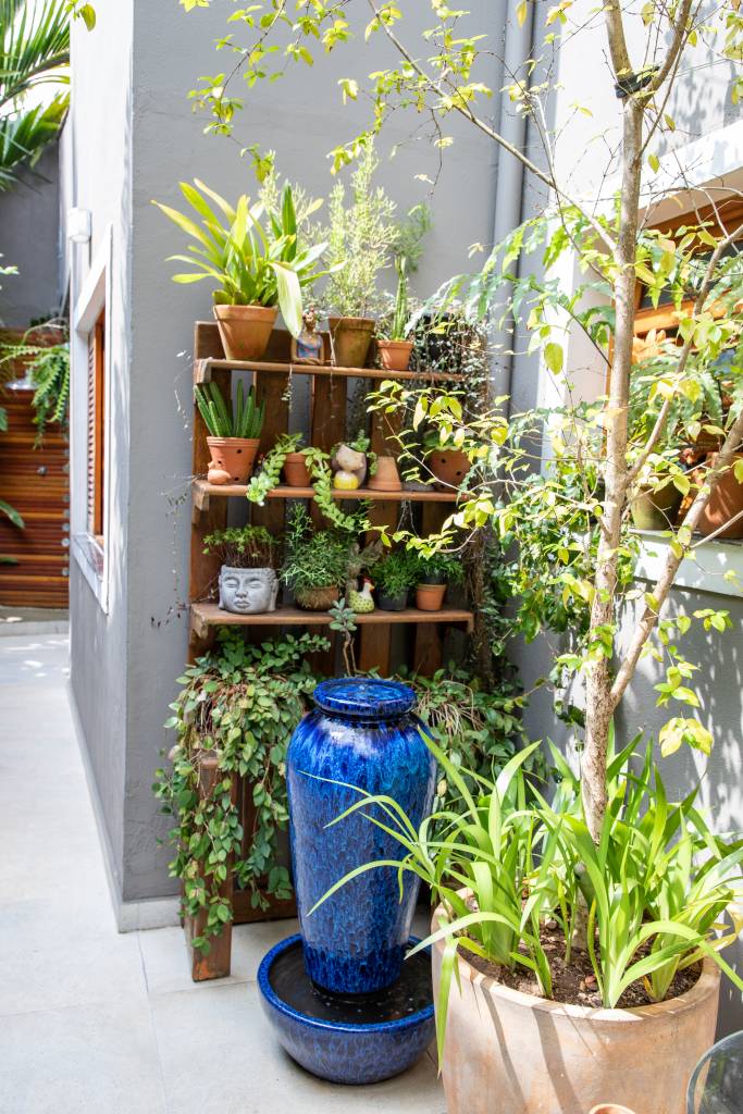 Marantas Coloridas: Explosão de Vida em Vasos Decorativos - inspiração