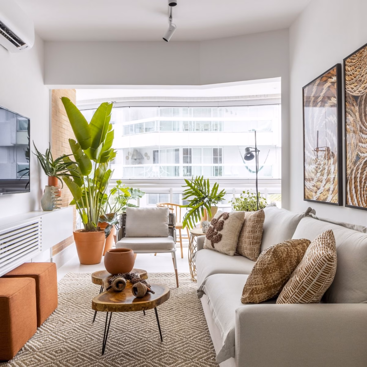 Plantas que Acolhem: Um Toque de Natureza em Ambientes Compactos - detalhe