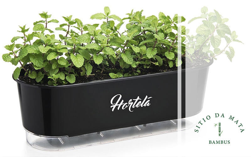 Em Vasos Autoirrigáveis: Praticidade e Beleza em Harmonia - inspiração