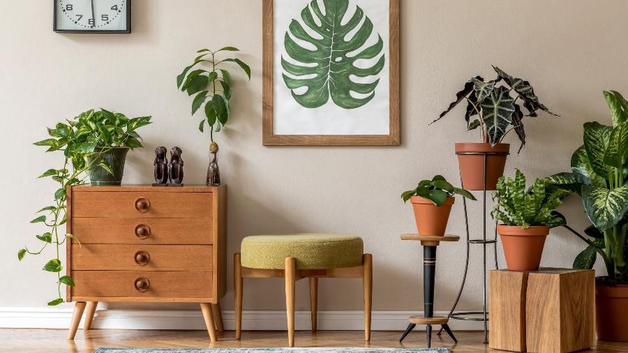 Composição de Quadros e Plantas: Uma Parede Viva e Cheia de Cor - detalhe