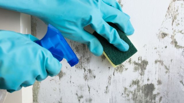 Aconchego e Cor: Decore com Tecidos Coloridos e Vibrantes - ideia