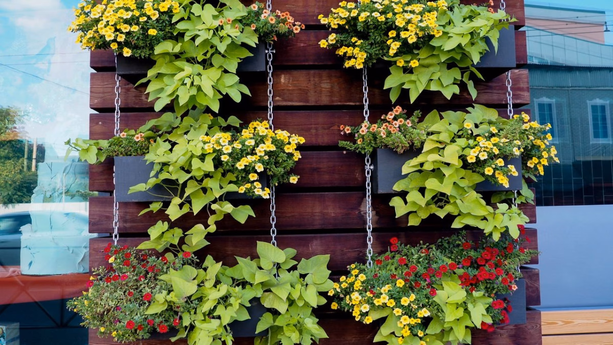 Jardins Verticais de Pallet: Natureza que Abraça as Paredes - detalhe