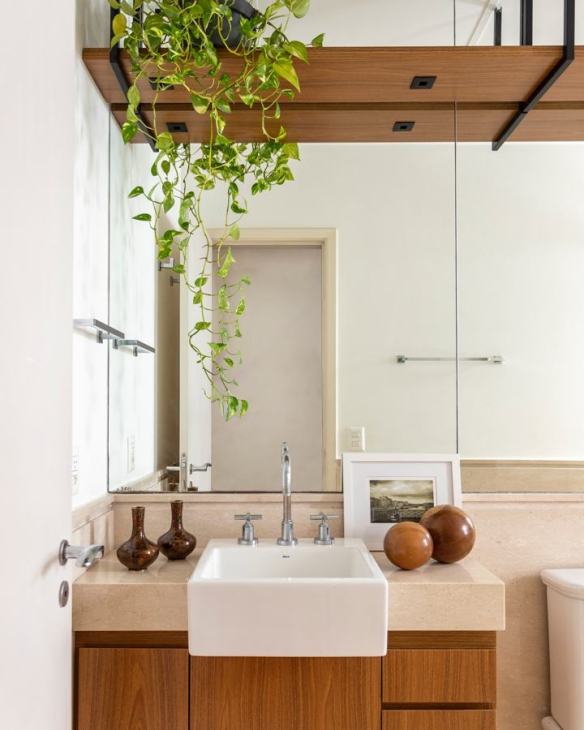 Banheiro Pequeno com Plantas Suspensas: Um Toque de Natureza - inspiração