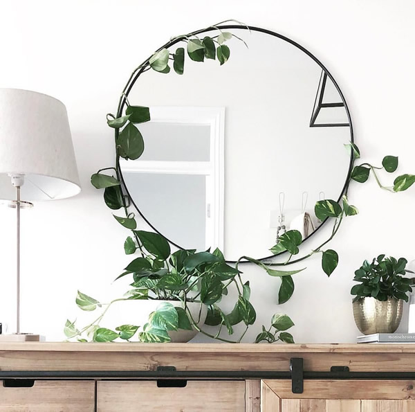 Espelho Adornado com Plantas: Um Toque de Natureza Relaxante - ideia
