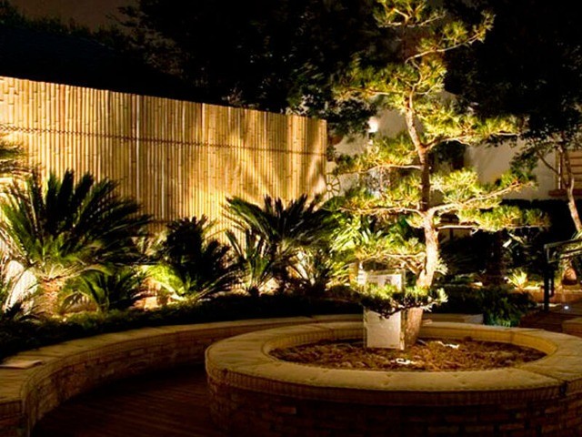 Jardim de Cinema: Mini-Refletores Estratégicos para Árvores e Texturas - inspiração