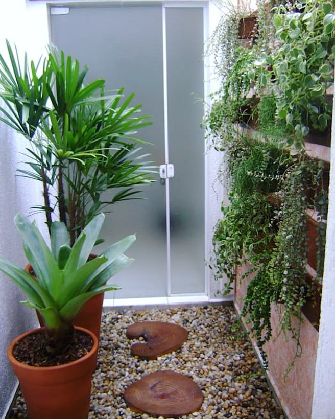 Jardim de Inverno Minimalista: Elegância Zen em Poucos Detalhes - inspiração