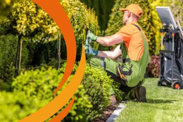 Jardins Comestíveis: Manutenção Deliciosa e Saudável - detalhe