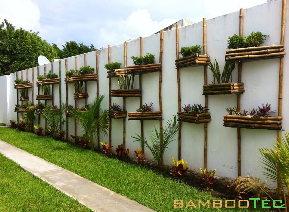 Muro Verde Vertical: Natureza Vibrante em Casa - detalhe