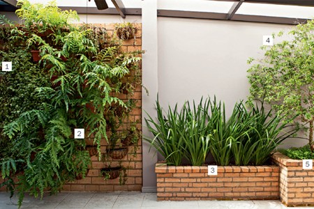 Canteiros Delimitados com Bordas de Tijolos à Vista - inspiração