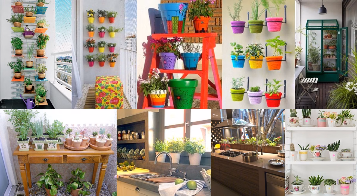 Cachepots Coloridos e Divertidos: Alegria e vida com vasos vibrantes - detalhe