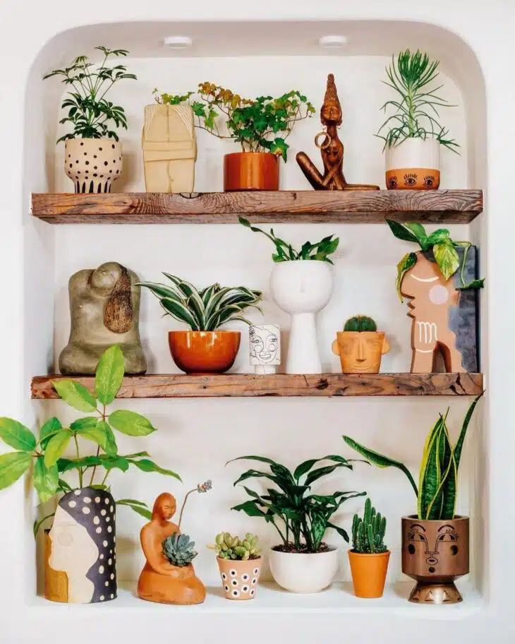 Em Prateleiras de Madeira Rústica: Aconchego e Estilo - detalhe