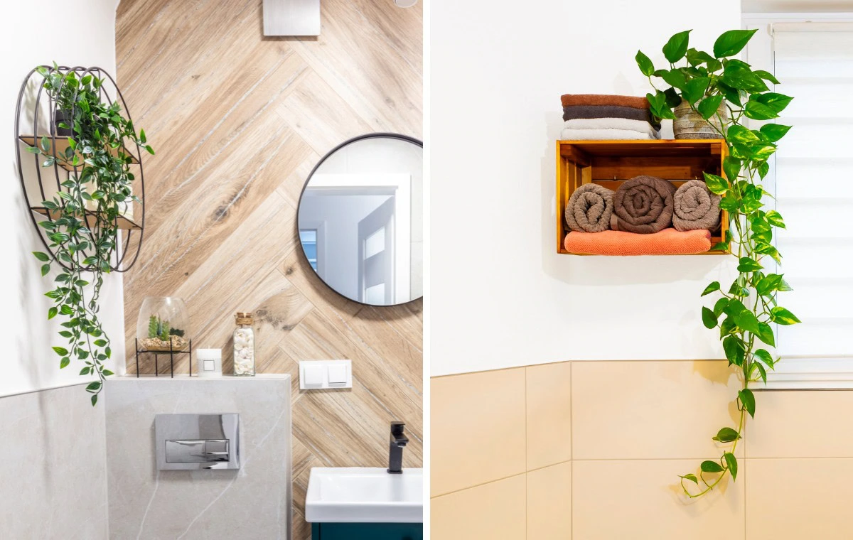 Plantas Pendentes no Banheiro: Um Oásis Tropical Relaxante - detalhe