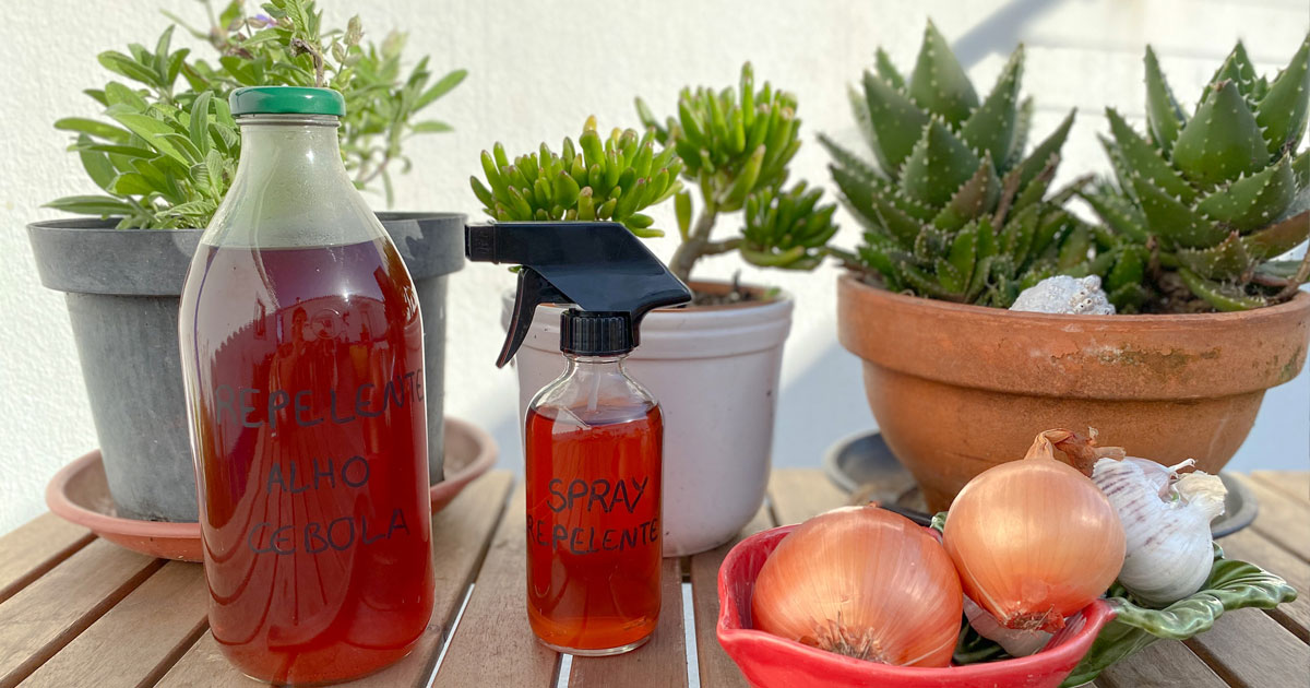 Calda Explosiva de Alho e Cebola: O Repelente Natural Super Potente - detalhe