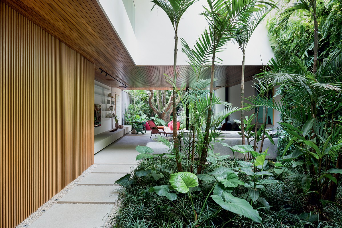 Jardim de Inverno Suspenso: Macramê e Samambaias em Harmonia - ideia