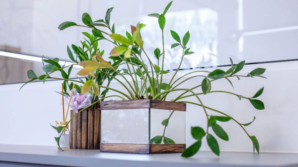 Minimalismo Vibrante: Use Suculentas Artificiais em Terrários Geométricos - ideia