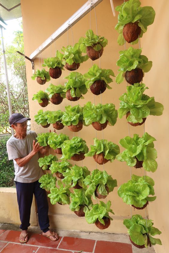 Horta Suspensa e Charmosa com Macramê - ideia