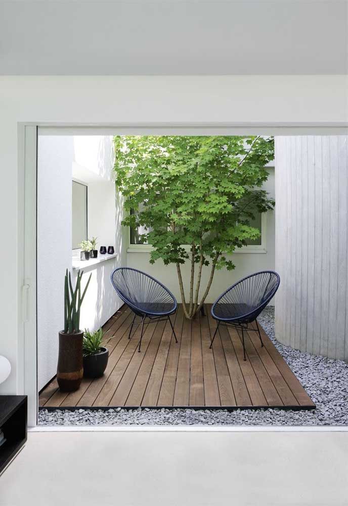 Jardim de Inverno Minimalista: Elegância Zen em Poucos Detalhes - detalhe