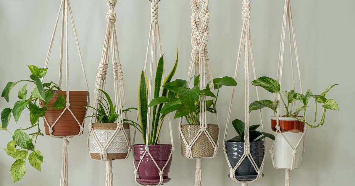 Horta Suspensa em Macramê: Estilo Boho para Seus Temperos - ideia