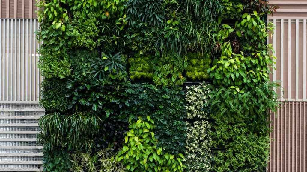 Jardins Verticais: Oásis Urbanos na Sua Parede - inspiração