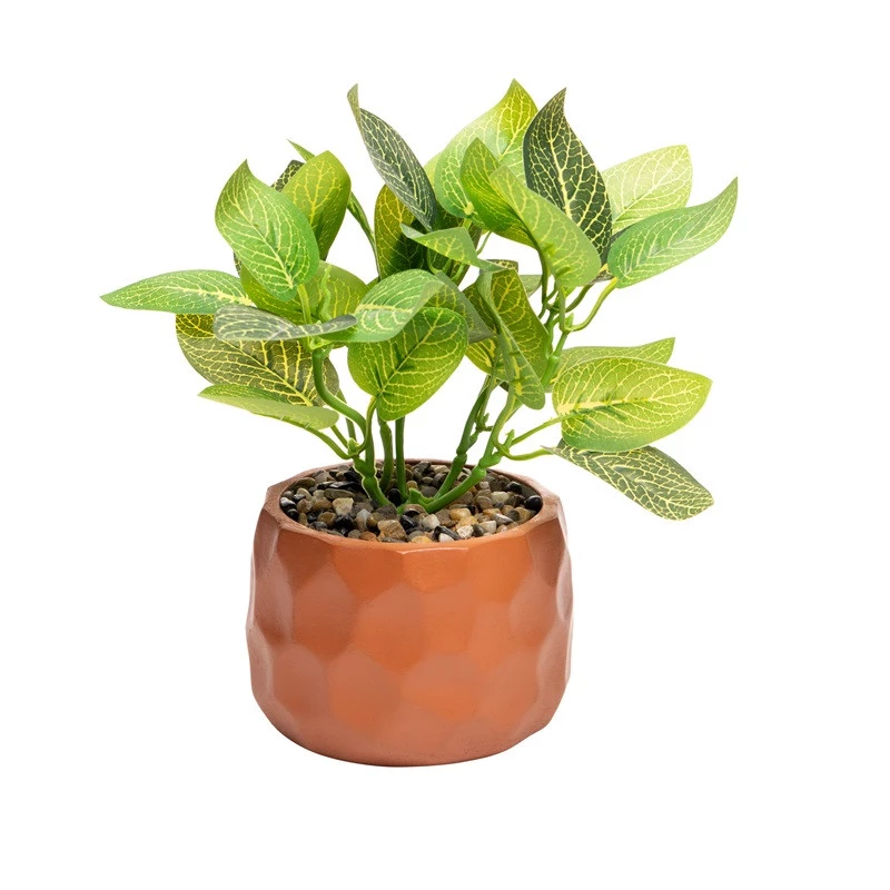 Em Cachepots de Cimento: Modernidade e Design - inspiração