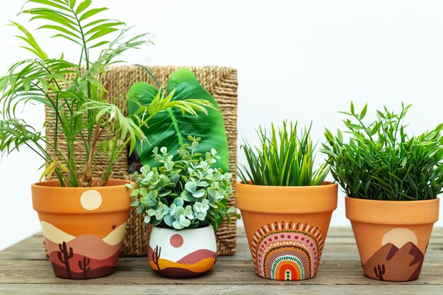 Toque Exótico: Dracenas em Vasos de Barro Decorados com Pintura Étnica - inspiração
