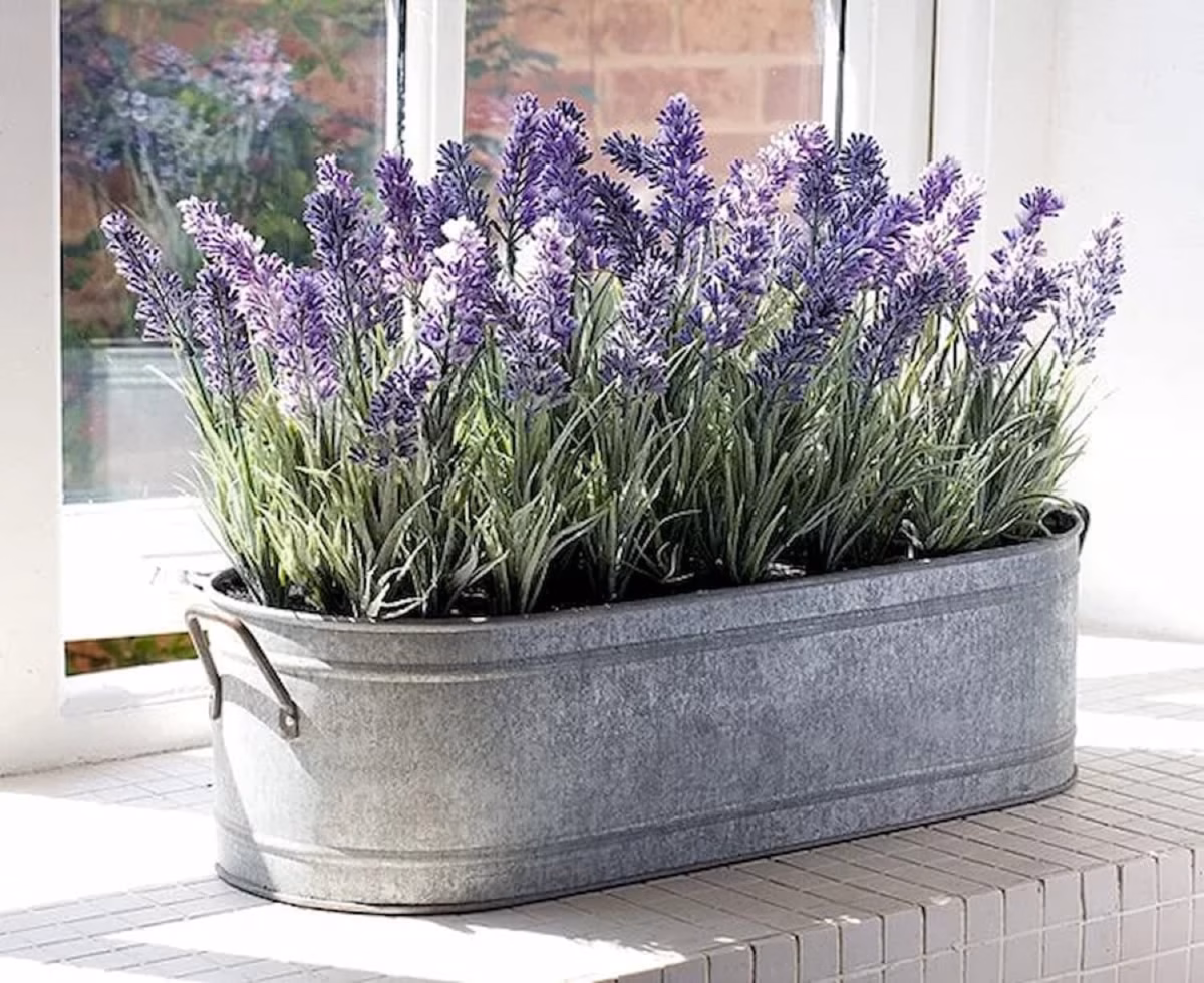 Cantinho Provençal: Lavanda e Pedriscos Brancos - detalhe