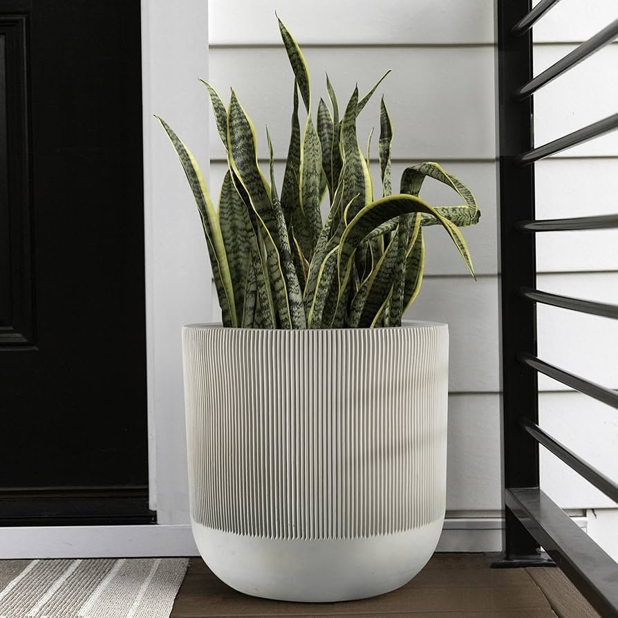 Vasos de Cimento DIY: Rusticidade Moderna para Ambientes Internos e Externos - ideia