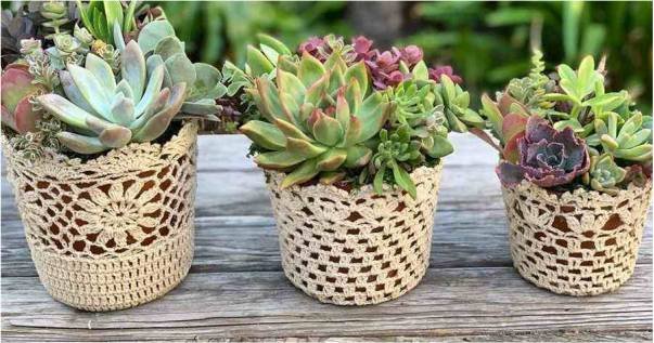 Cachepôs Aconchegantes de Crochê: Pontos de Amor e Charme Artesanal - ideia