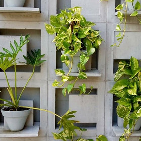 Cobogó com Plantas Pendentes: Jardim Vertical Integrado - detalhe