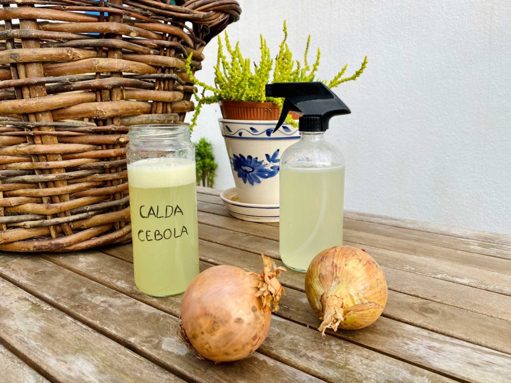 Calda Explosiva de Alho e Cebola: O Repelente Natural Super Potente - ideia