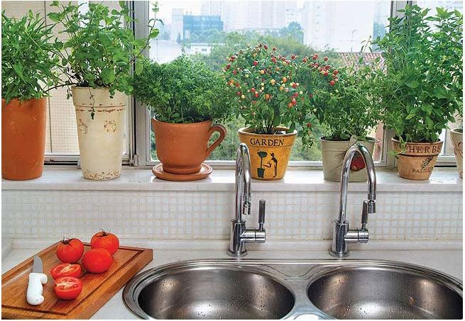 Mini-Horta na Estante: Integração Perfeita com a Decoração - inspiração