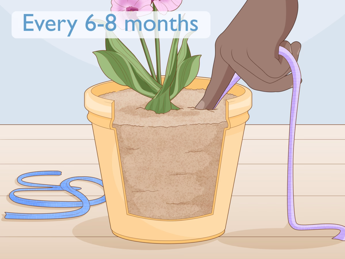 Gotejamento Caseiro com Barbante: Simples, Barato e Eficaz - ideia