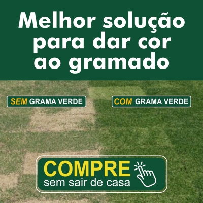 Grama Esmeralda Revitalizada com Adubo Orgânico - detalhe