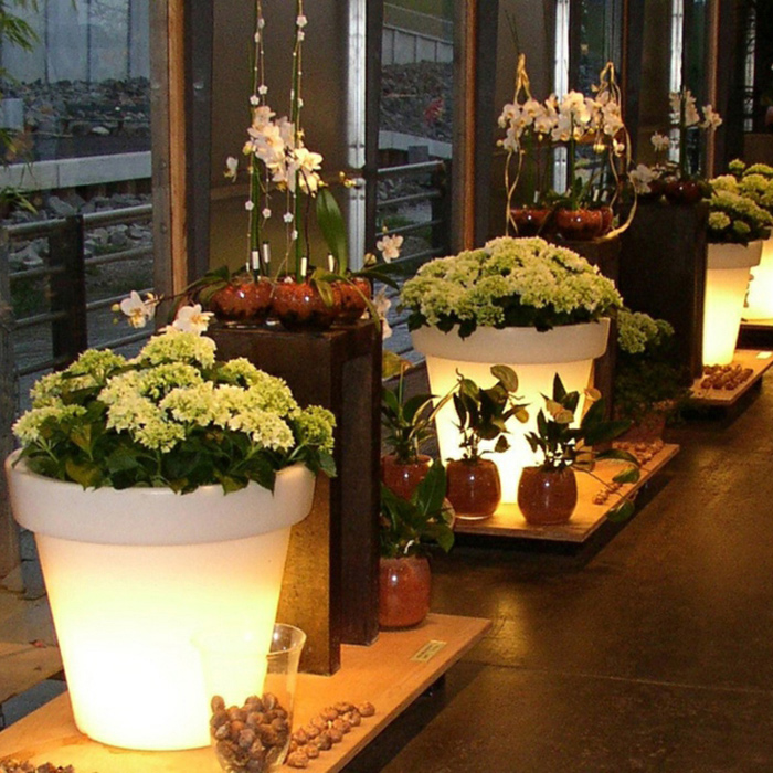 Vasos Iluminados: Destaque e Sofisticação Noturna - detalhe