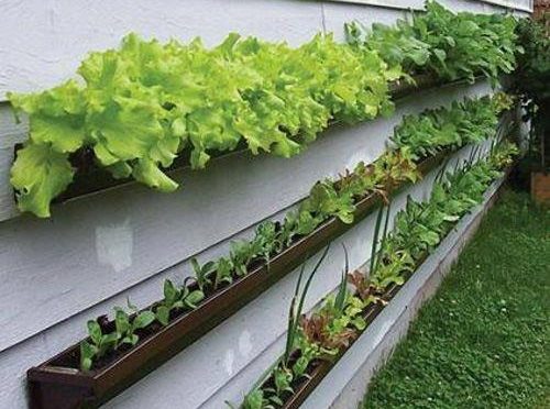 Horta Suspensa em Varanda Pequena: Sabores Frescos ao Seu Alcance - inspiração