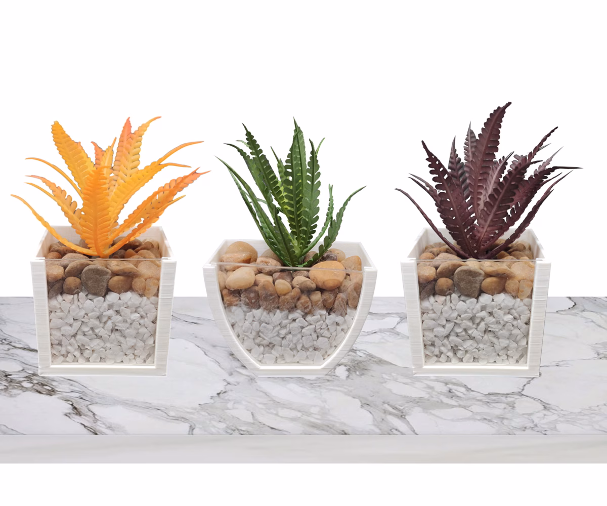 Mini Cactos e Suculentas: Charme Minimalista - detalhe